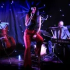 Przedsiębiorstwo 1 wizerunek AGENCJA ARTYSTYCZNA - BONSAI Muzycy, Muzyczne Zespoły w Poznań WP