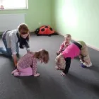 Przedsiębiorstwo 1 wizerunek AKADEMIA MALUCHA BAJECZNY ZAKĄTEK Żłobki Niepubliczne w Warszawa MZ