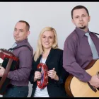 Przedsiębiorstwo 3 wizerunek ARA MELODI Muzycy, Muzyczne Zespoły w Warszawa MZ