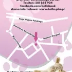 Przedsiębiorstwo 1 wizerunek BELLA SALON PIELĘGNACJI PSÓW I KOTÓW Kategoria w Piła WP