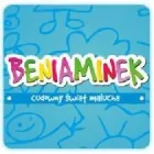 Przedsiębiorstwo 1 wizerunek BENIAMINEK Kategoria w Warszawa MZ