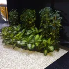 Przedsiębiorstwo 7 wizerunek BOTIKA Ogrody, Tereny Zieleni - Projektowanie, Utrzymanie w Katowice SL