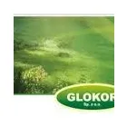 Przedsiębiorstwo 11 wizerunek CENTRUM BADAWCZO - ROZWOJOWE GLOKOR SP. Z O.O. Ochrona Środowiska w Gliwice SL