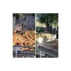 Przedsiębiorstwo 26 wizerunek CENTRUM USŁUG SAMOCHODOWYCH*PROGRESS-2* Sprzątanie - Usługi w Katowice SL