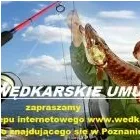 Przedsiębiorstwo 1 wizerunek CENTRUM WĘDKARSKIE UMULTOWO Wędkarskie Artykuły w Poznań WP