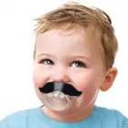 Przedsiębiorstwo 5 wizerunek CZERWONA PAPRYCZKA DESIGN Ogrodnicze Artykuły, Sprzęt w Katowice SL