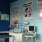 Przedsiębiorstwo 5 wizerunek DORAVET S.C. LECZNICA WETERYNARYJNA I SALON PSIEJ URODY Weterynaria - Usługi w Warszawa MZ