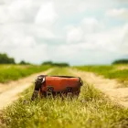 Przedsiębiorstwo 4 wizerunek DUDKIEWICZ DARIUSZ KALETNICTWO Krawiectwo - Usługi w Lublin LU