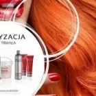 Przedsiębiorstwo 5 wizerunek EURO STYL PALCO POLSKA DYSTRYBUTOR ARTYKUŁÓW FRYZJERSKICH WŁOSKIEJ FIRMY PALCO Kosmetyka - Usługi w Katowice SL