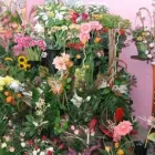 Przedsiębiorstwo 1 wizerunek GALERIA KWIATÓW Kwiaciarnie w Sosnowiec SL