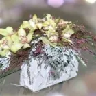 Przedsiębiorstwo 2 wizerunek GALERIA KWIATÓW Kwiaciarnie w Sosnowiec SL