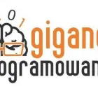 Przedsiębiorstwo 1 wizerunek GIGANCI PROGRAMOWANIA Szkolenia, Kursy w Warszawa MZ