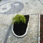 Przedsiębiorstwo 2 wizerunek GRAN-MUR Kategoria w Poznań WP