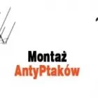 Przedsiębiorstwo 1 wizerunek INSEKTKILLER DEZYNSEKCJA DEZYNFEKCJA DERATYZACJA Kategoria w Rzeszów PK