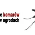 Przedsiębiorstwo 2 wizerunek INSEKTKILLER DEZYNSEKCJA DEZYNFEKCJA DERATYZACJA Kategoria w Rzeszów PK