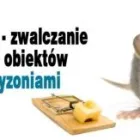 Przedsiębiorstwo 3 wizerunek INSEKTKILLER DEZYNSEKCJA DEZYNFEKCJA DERATYZACJA Kategoria w Rzeszów PK