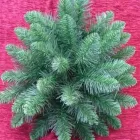 Przedsiębiorstwo 1 wizerunek INTER-PLAST Nawozy w Lublin LU