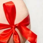 Przedsiębiorstwo 10 wizerunek IRIS CREAM Kategoria w Sosnowiec SL