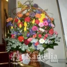 Przedsiębiorstwo 5 wizerunek KAMELIA. KWIACIARNIA Kwiaciarnie w Lublin LU