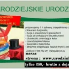 Przedsiębiorstwo 2 wizerunek KLAUN DYZIO Kategoria w Rybnik SL