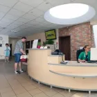 Przedsiębiorstwo 2 wizerunek KLINIKA WETERYNARYJNA DR. GRZEGORZA WĄSIATYCZA Weterynaria - Usługi w Poznań WP