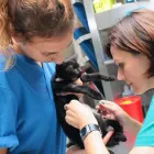 Przedsiębiorstwo 4 wizerunek KLINIKA WETERYNARYJNA DR. GRZEGORZA WĄSIATYCZA Weterynaria - Usługi w Poznań WP