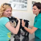 Przedsiębiorstwo 5 wizerunek KLINIKA WETERYNARYJNA DR. GRZEGORZA WĄSIATYCZA Weterynaria - Usługi w Poznań WP