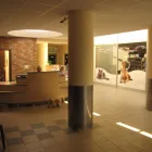 Przedsiębiorstwo 9 wizerunek KLINIKA WETERYNARYJNA DR. GRZEGORZA WĄSIATYCZA Weterynaria - Usługi w Poznań WP