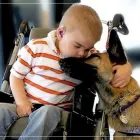 Przedsiębiorstwo 1 wizerunek KRAJOWY REJESTR OSÓB POSZKODOWANYCH Radcy Prawni w Warszawa MZ