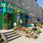 Przedsiębiorstwo 17 wizerunek KWIACIARNIA KASIA S.C.KATARZYNA ŁABĘCKA JACEK ŁABĘCKI Kwiaciarnie w Olsztyn WN