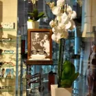 Przedsiębiorstwo 12 wizerunek MEDAR OPTYK Sportowe Artykuły, Sprzęt - Detal w Poznań WP