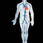 Przedsiębiorstwo 1 wizerunek MEDESTETICA GABINET CHORÓB NACZYŃ DR N.MED.W.MIKUSEK Lekarze - Chirurdzy w Gliwice SL