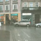 Przedsiębiorstwo 4 wizerunek MIASTO SZTUKI Porcelana, Fajans w Kraków MA