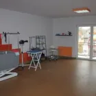 Przedsiębiorstwo 1 wizerunek ODIE STUDIO PSICH FRYZUR Zwierzęta Domowe - Hodowla, Pielęgnacja, Tresura w Kielce SK