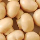 Przedsiębiorstwo 2 wizerunek OKECHAMP S.A. (WŁAŚCICIEL MARKI OLE) Zdrowa Żywność w Poznań WP