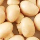 Przedsiębiorstwo 4 wizerunek OKECHAMP S.A. (WŁAŚCICIEL MARKI OLE) Zdrowa Żywność w Poznań WP