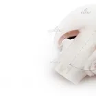 Przedsiębiorstwo 8 wizerunek OKECHAMP S.A. (WŁAŚCICIEL MARKI OLE) Zdrowa Żywność w Poznań WP