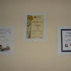 Przedsiębiorstwo 2 wizerunek OPTICAL CENTER OFTAL KORALEWSCY Optycy w Poznań WP