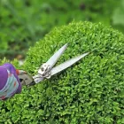 Przedsiębiorstwo 2 wizerunek PHU TWÓJ OGRÓD LUDMIŁA WOŹNIAK Ogrodnicze Artykuły, Sprzęt w Suchy Las WP