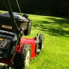 Przedsiębiorstwo 5 wizerunek PHU TWÓJ OGRÓD LUDMIŁA WOŹNIAK Ogrodnicze Artykuły, Sprzęt w Suchy Las WP