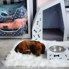 Przedsiębiorstwo 2 wizerunek PINKY PAWS ANNA MAGIER w Łódź LD