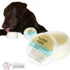 Przedsiębiorstwo 8 wizerunek PINKY PAWS ANNA MAGIER w Łódź LD