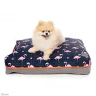 Przedsiębiorstwo 10 wizerunek PINKY PAWS ANNA MAGIER w Łódź LD