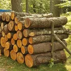 Przedsiębiorstwo 9 wizerunek PLANDEKI OCHRONNE Plandeki, Pokrowce w Poznań WP