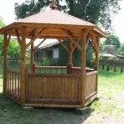 Przedsiębiorstwo 2 wizerunek PODEX Tartaki w Kalisz WP