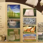 Przedsiębiorstwo 9 wizerunek PODEX Tartaki w Kalisz WP