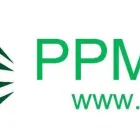 Przedsiębiorstwo 1 wizerunek PPM PAWEŁ MUSIAŁ Kategoria w Kielce SK