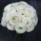 Przedsiębiorstwo 11 wizerunek PRACOWNIA FLORYSTYCZNA PASSJA-FLORA ANNA SMOLIŃSKA-WIECZORKIEWICZ Kwiaciarnie w Lublin LU