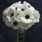 Przedsiębiorstwo 13 wizerunek PRACOWNIA FLORYSTYCZNA PASSJA-FLORA ANNA SMOLIŃSKA-WIECZORKIEWICZ Kwiaciarnie w Lublin LU