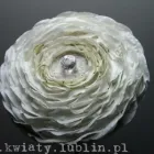 Przedsiębiorstwo 21 wizerunek PRACOWNIA FLORYSTYCZNA PASSJA-FLORA ANNA SMOLIŃSKA-WIECZORKIEWICZ Kwiaciarnie w Lublin LU